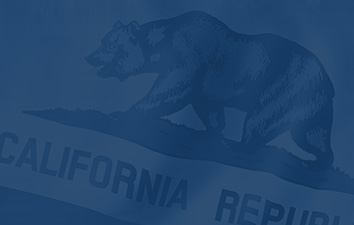 Close up of bear on California state flag
