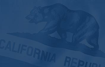 Close up of bear on California state flag